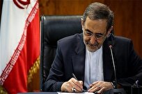 ولایتی: گام‌های فوری و عملی باید در جهت مقابله با جنایات صهیونیست‌ها برداشته شود