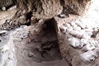 غاری در ازبکستان نظریه‌های مربوط به خاستگاه کشاورزی را به چالش می‌کشد