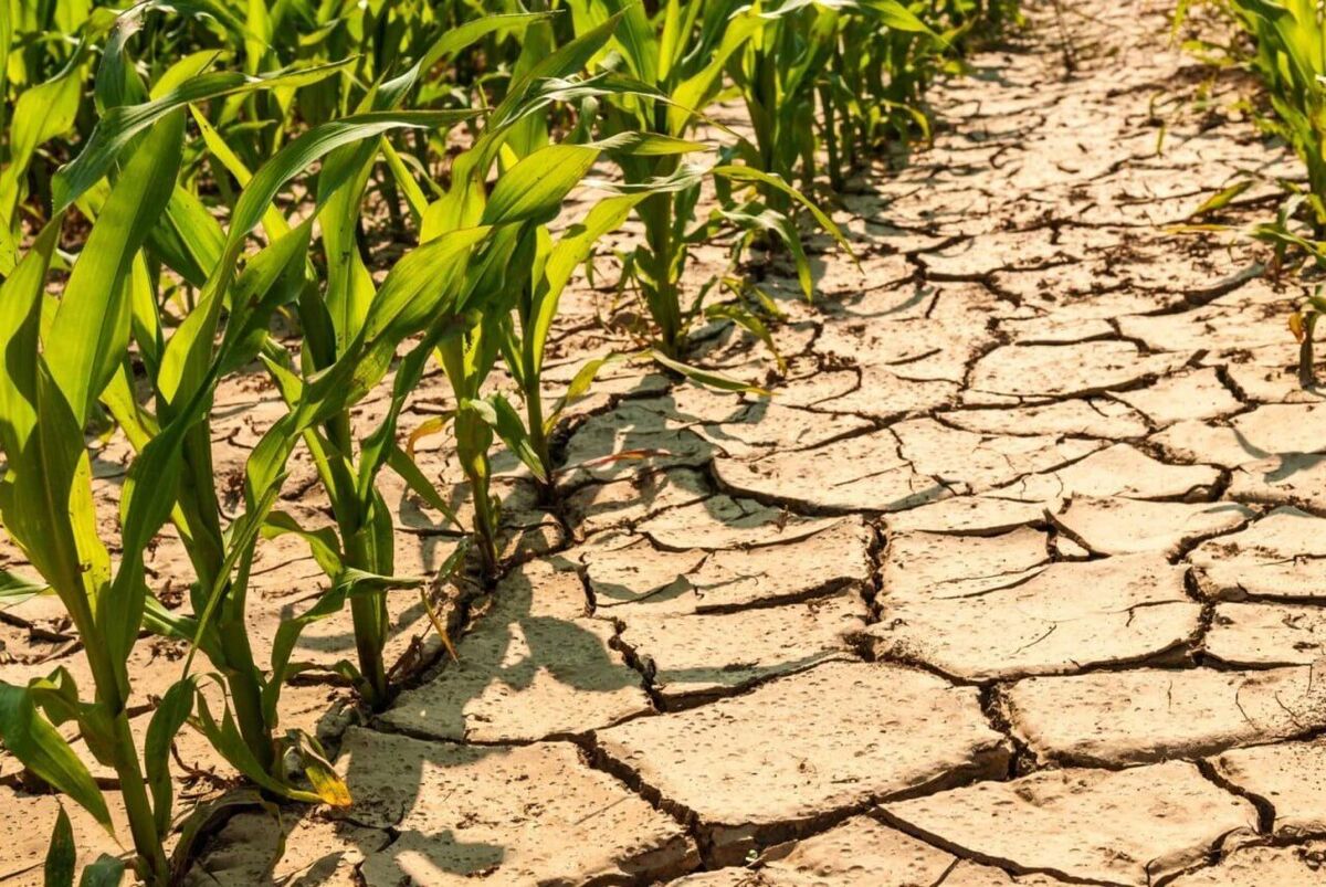 بحران آب در آسیای مرکزی تشدید می شود کاهش سطح خزر تا نوسازی کانالهای آبیاری