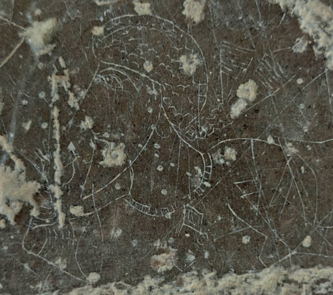 کشف سنگ نگاره زیبای «بزرگ زاده ساسانی» در مرودشت فارس کشف سنگ نگاره زیبای «بزرگ زاده ساسانی» در مرودشت فارس