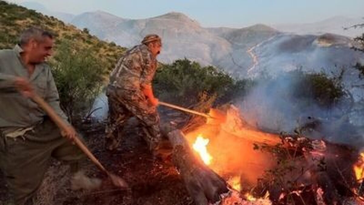 مهار آتش سوزی ۱۴ هکتاری در حاشیه پارک ملی لار با همکاری محیط بانان و عشایر