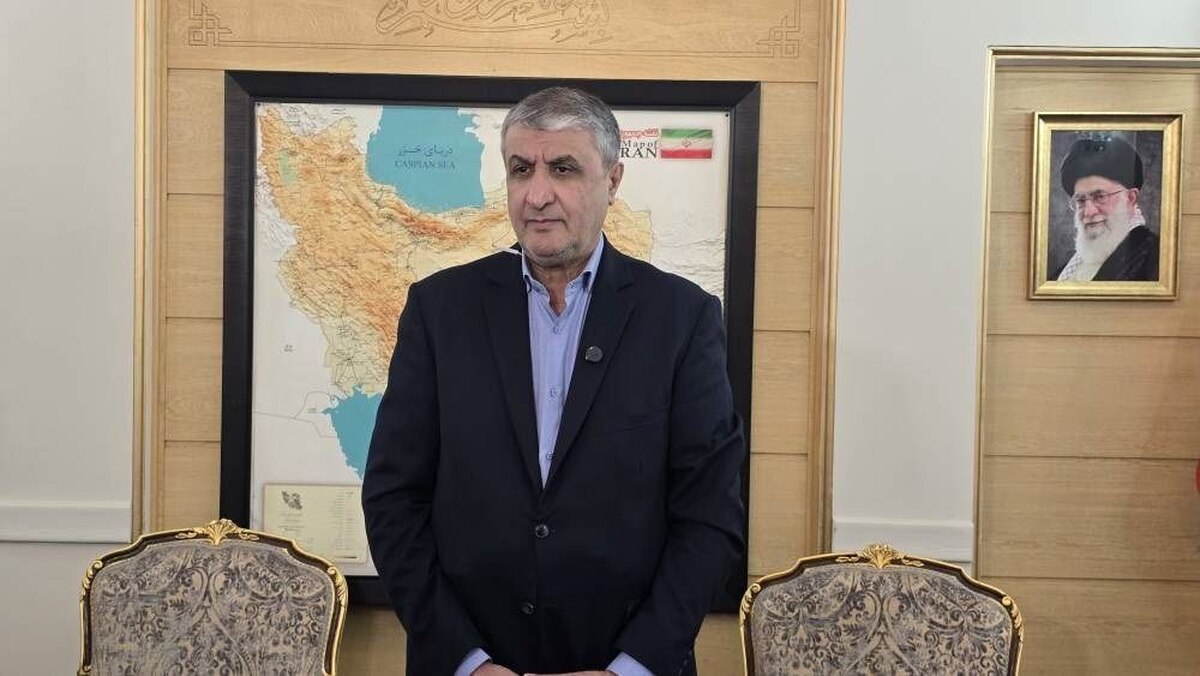 رئیس سازمان انرژی اتمی ایران عازم وین شد