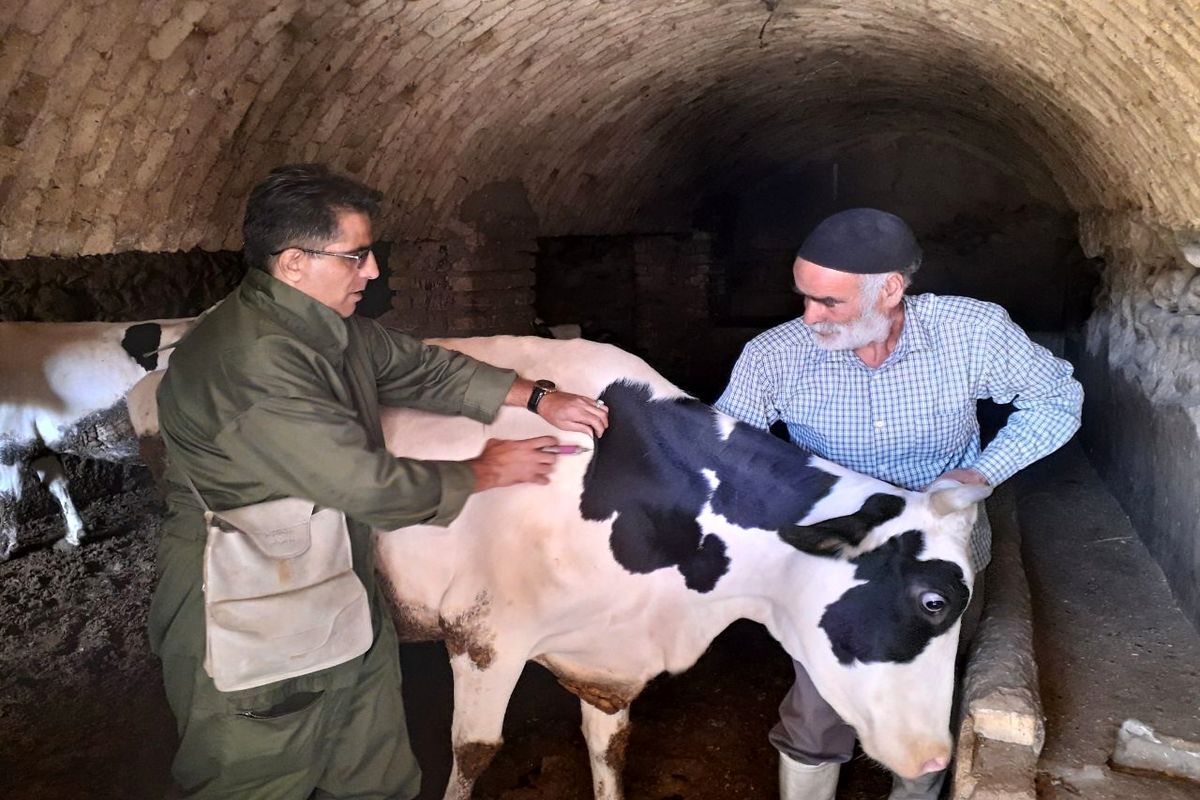 برگزاری نخستین رویداد ملی «دامیار» با حضور گروههای جهادی دامپزشکی سراسر کشور