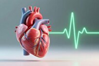 هموار شدن راه ساخت واکسن برای سکته قلبی