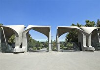 امید: ۵۰ درصد دانشجویان دانشگاه تهران از ۳ دهک بالای جامعه هستند