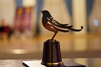 جشنواره ملی موسیقی جوان در ایستگاه پایانی; از تقاضای تاسیس دبیرخانه دائمی تا جلسه با وزرای علوم و فرهنگ