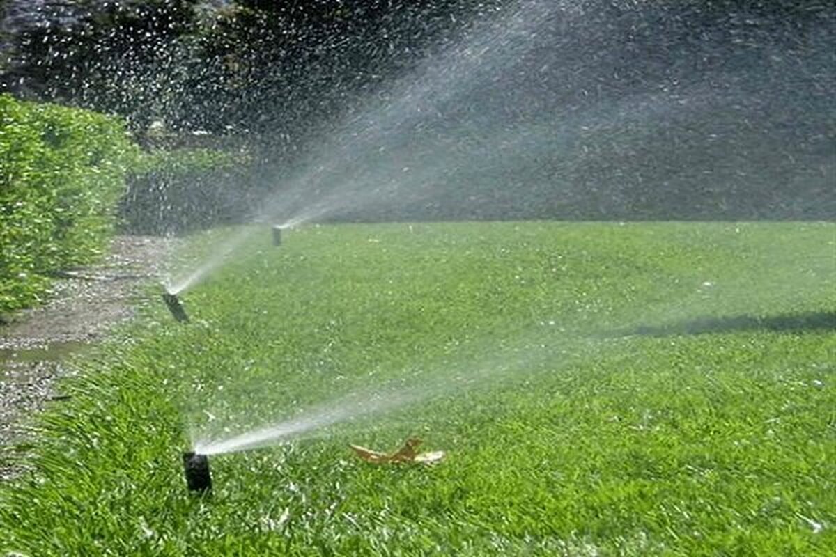 تهران با جایگزینی پساب، ۵۰ درصد نیاز فضای سبز را تأمین می‌کند