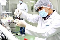 اعتبار مالیاتی ۵۰۰ میلیارد تومانی برای صنایع حامی رساله‌های پژوهشی دکتری