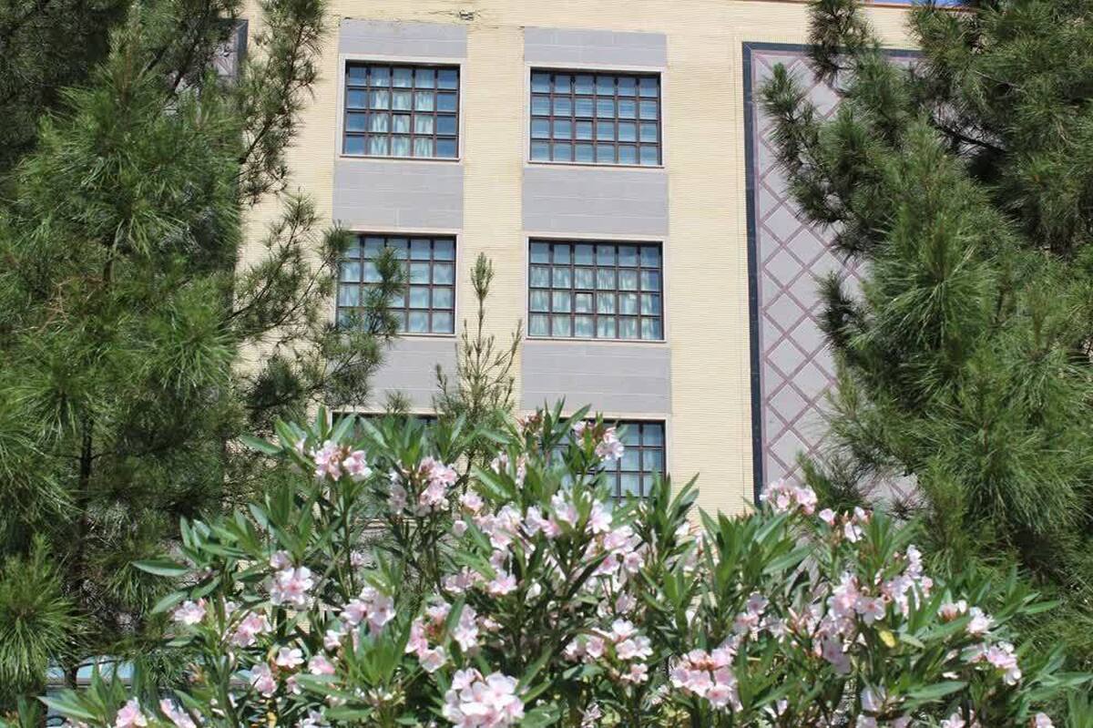 استادان دانشگاه آزاد قم در فهرست دانشمندان برتر جهان