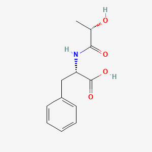 کشف راز خاموشی گرسنگی در بدن کشف راز خاموشی گرسنگی در بدن