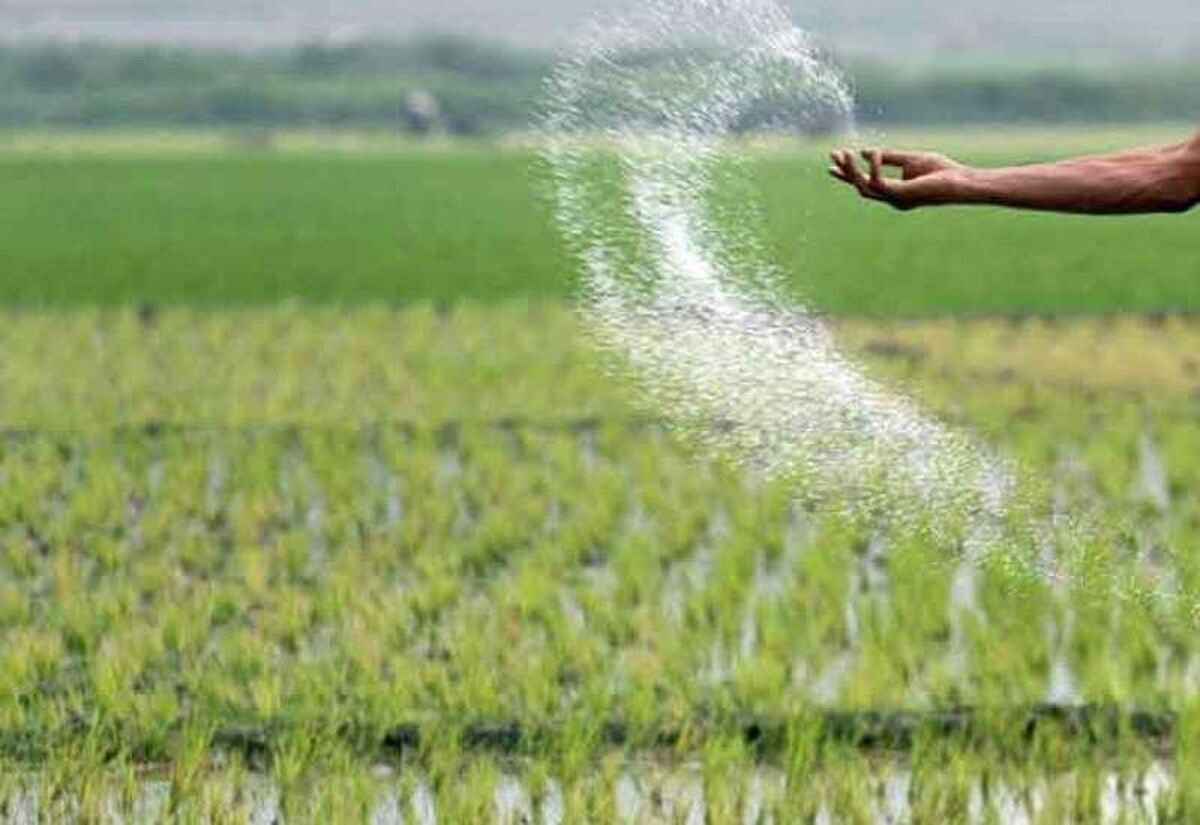 ارائه ۴۰ هزار میلیارد تسهیلات برای تهیه و تدارک نهاده‌های کشاورزی