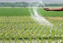 ارائه ۴۰ هزار میلیارد تسهیلات برای تهیه و تدارک نهاده‌های کشاورزی