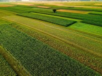 رفع ۹۲ درصدی تداخلات اراضی در کشور