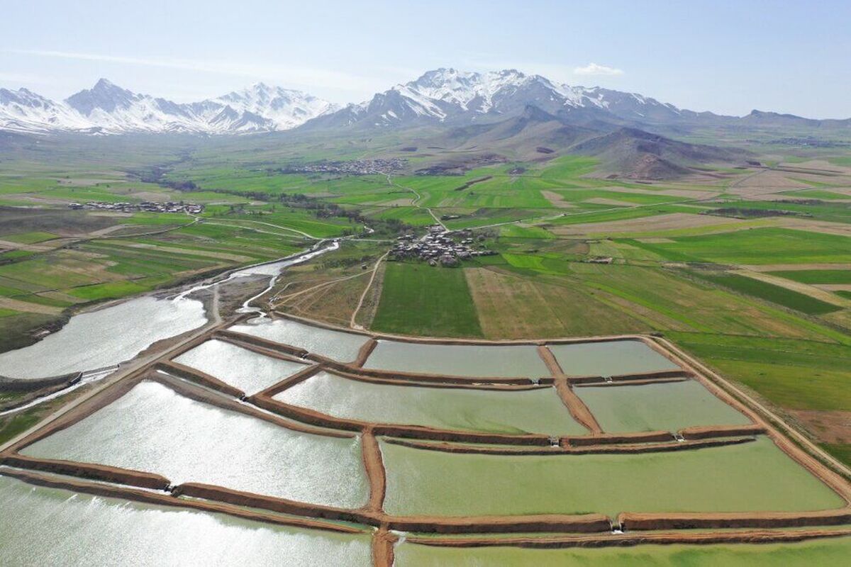 آغاز سال زراعی با آمادگی کامل   اولویت کشت دانه‌های روغنی و تأمین بی‌نقص نهاده‌ها