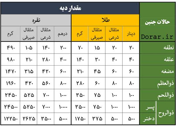 مرز باریک بین درمان و جرم؛ همه آنچه درباره سقط جنین و مجازاتهای قانونی باید بدانید مرز باریک بین درمان و جرم؛ همه آنچه درباره سقط جنین و مجازاتهای قانونی باید بدانید