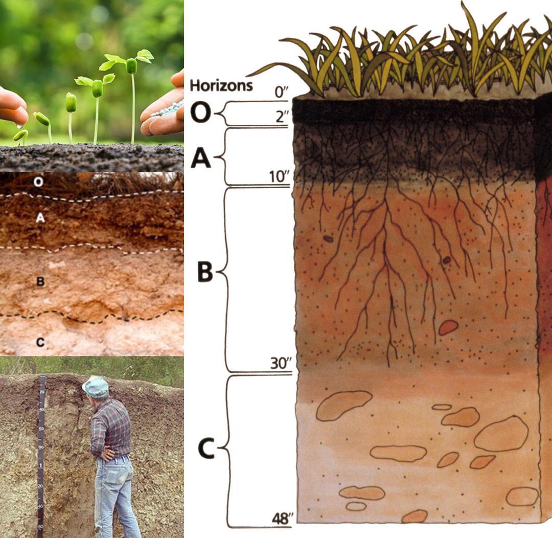 زنگ خطر برای آینده کشاورزی و محیطزیست به صدا درآمد؛ کاهش دانشجو در رشته خاکشناسی زنگ خطر برای آینده کشاورزی و محیطزیست به صدا درآمد؛ کاهش دانشجو در رشته خاکشناسی