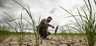 برنامه‌های مقابله با خشکسالی پاییز/ پر بارش‌ترین استان‌های شمالی در سایه خشکسالی بی سابقه