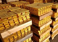 ارزش پول ملی به ذخایر طلای کشور بستگی دارد +فیلم