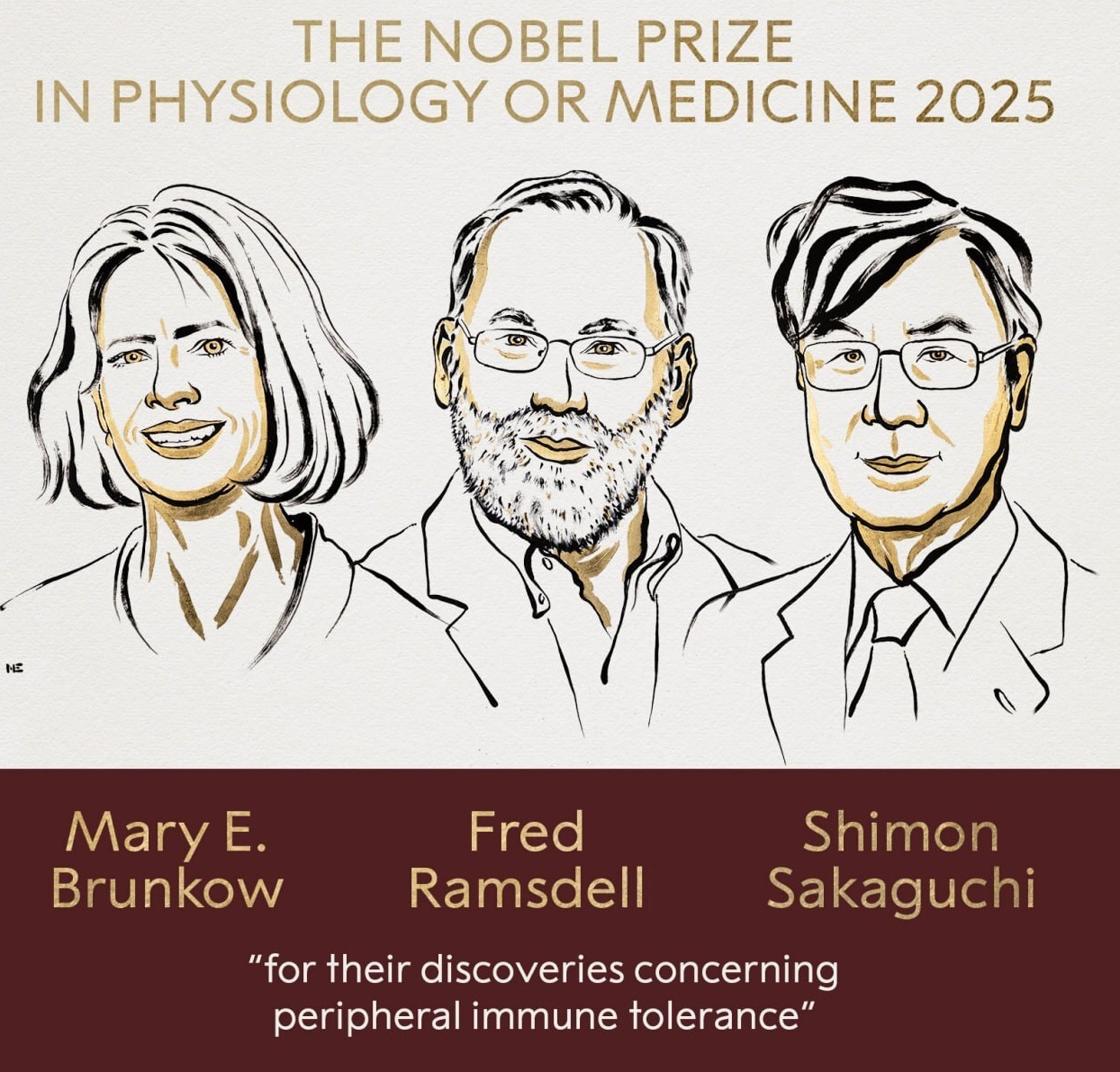 نوبل پزشکی امسال به دو آمریکایی و یک ژاپنی رسید نوبل پزشکی امسال به دو آمریکایی و یک ژاپنی رسید