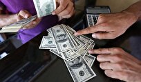 عامل اصلی افزایش قیمت دلار چندنرخی بودن آن است+فیلم