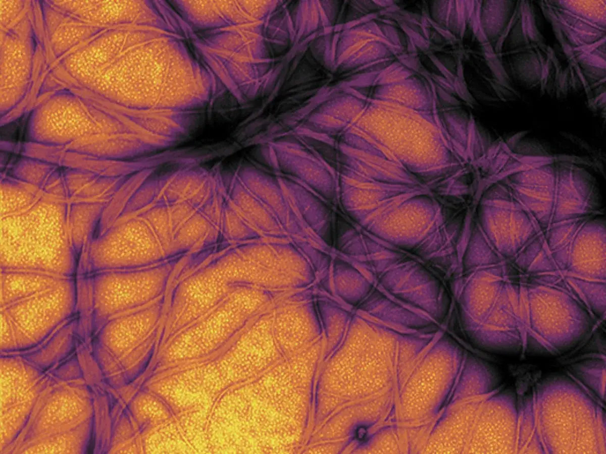 نگاهی دوباره به ذرات مرموز پس از گذشت ۳ دهه از نوبل برای کشف پریون‌ها