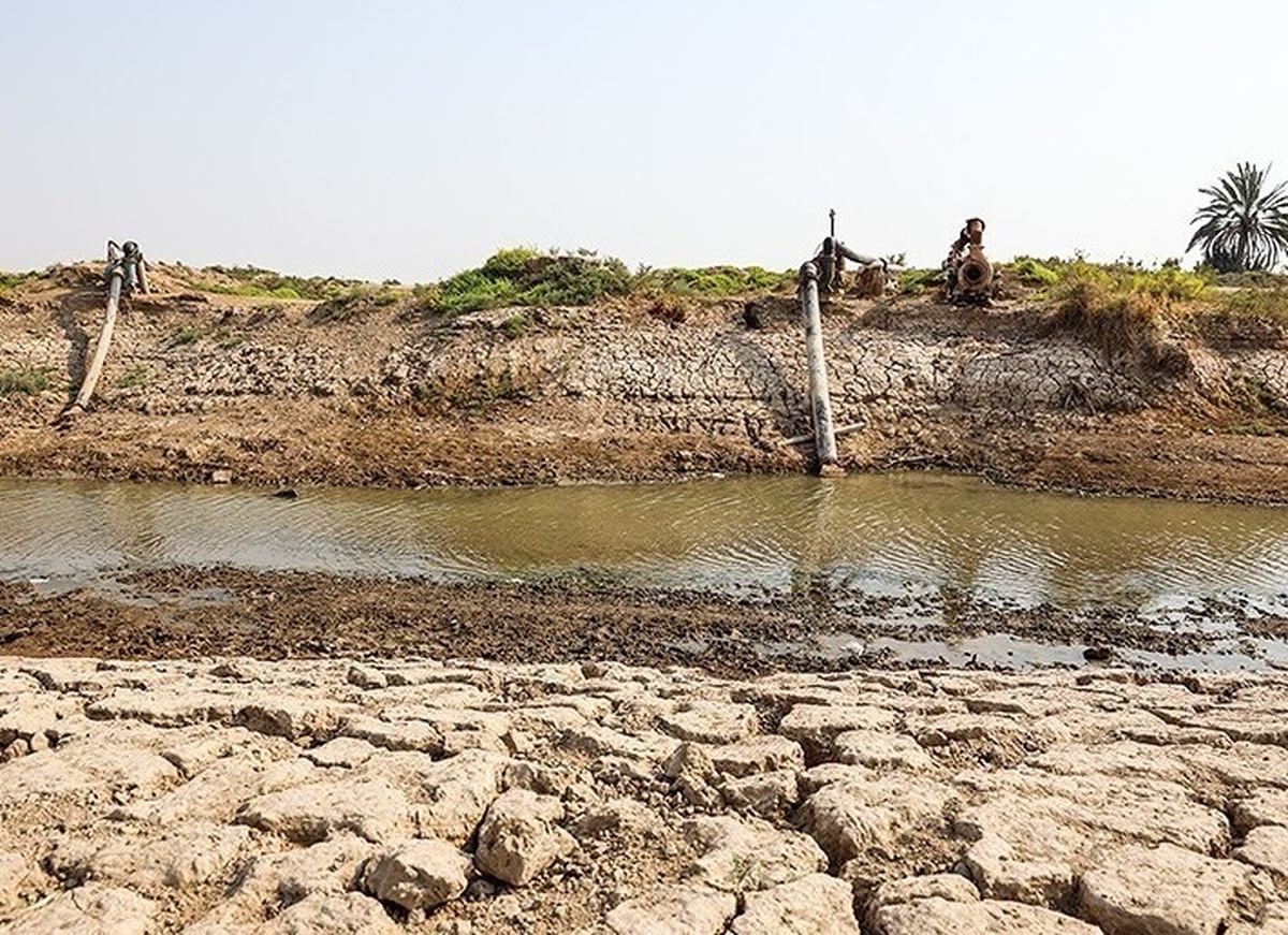 زوال سالانه ۱۳ هزار هکتار باغات پسته/ پرمصرف‌ها هزینه مصرف خود را بر دوش کم‌مصرف‌ها می‌اندازند!