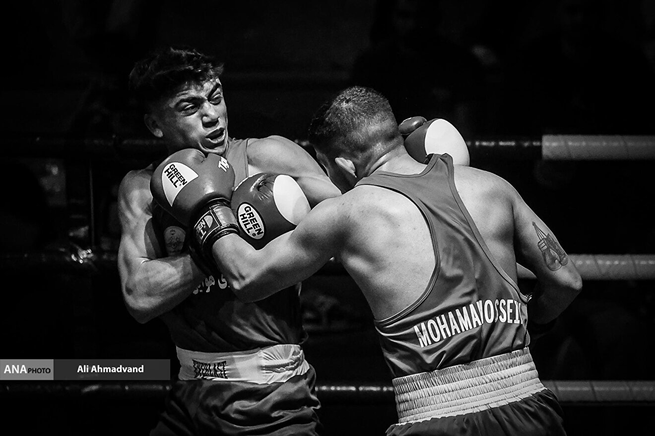 مسابقه نیمه نهایی لیگ برتر بوکس