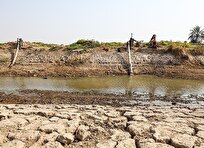 زوال سالانه ۱۳ هزار هکتار باغات پسته/ پرمصرف‌ها هزینه مصرف خود را بر دوش کم‌مصرف‌ها می‌اندازند!