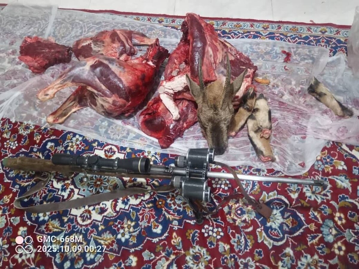 دستگیری شکارچیان غیرمجاز در منطقه ارجمند فیروزکوه