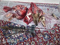 دستگیری شکارچیان غیرمجاز در منطقه ارجمند فیروزکوه