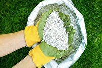 توزیع ۱۶ هزار تن انواع کود‌های کشاورزی در استان تهران