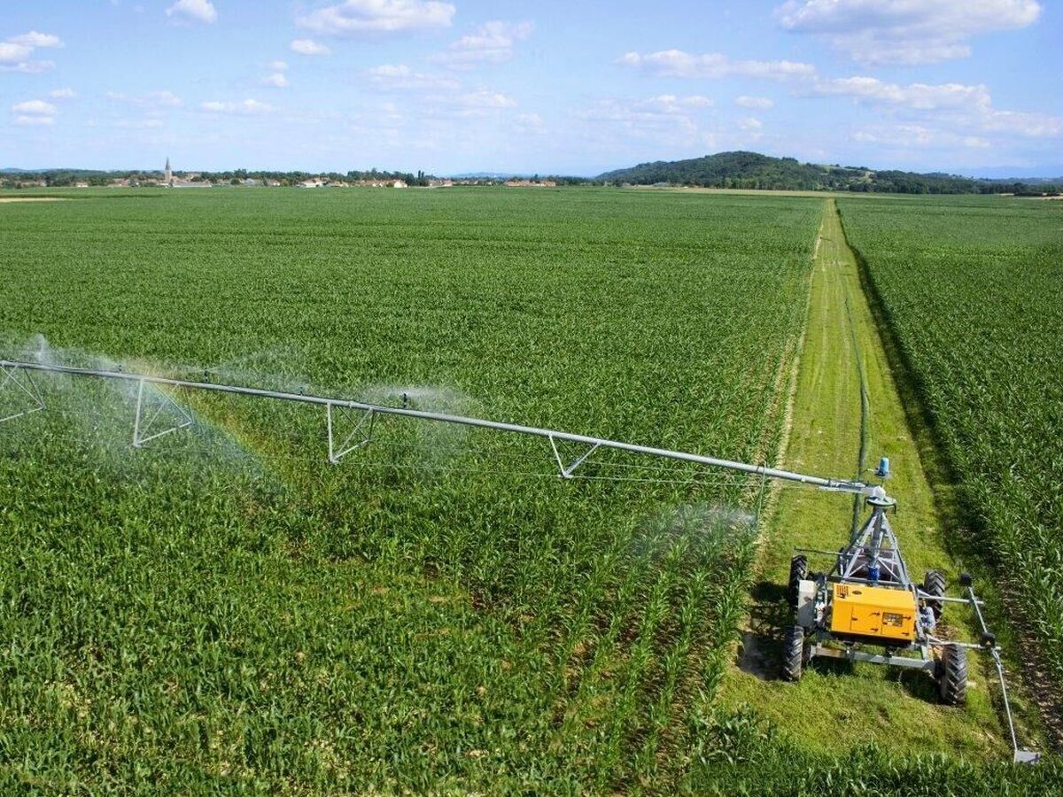 نماینده فائو: دستاورد‌های کشاورزی ایران قابلیت استفاده بین‌المللی دارد