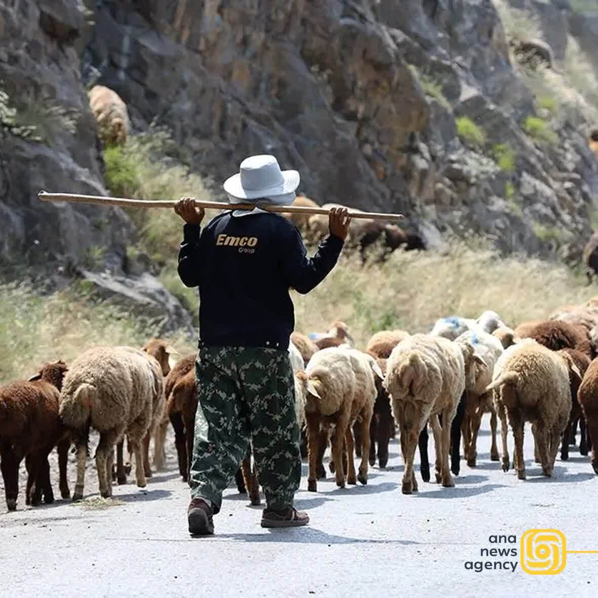جدیدترین رویدادهای استانی؛ مروری بر اخبار روز ایران جدیدترین رویدادهای استانی؛ مروری بر اخبار روز ایران