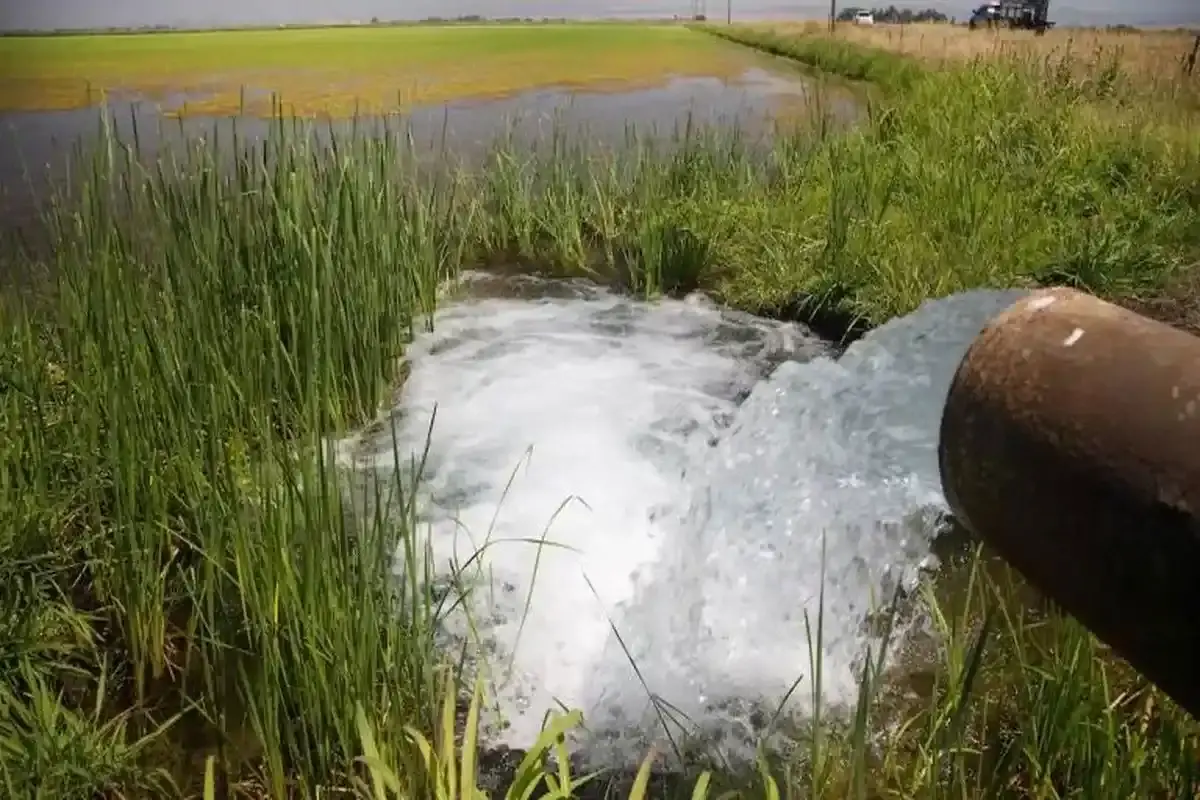 راهبردهای ۱۲ گانه آب، کشاورزی و محیط زیست برنامه هفتم توسعه ابلاغ شد