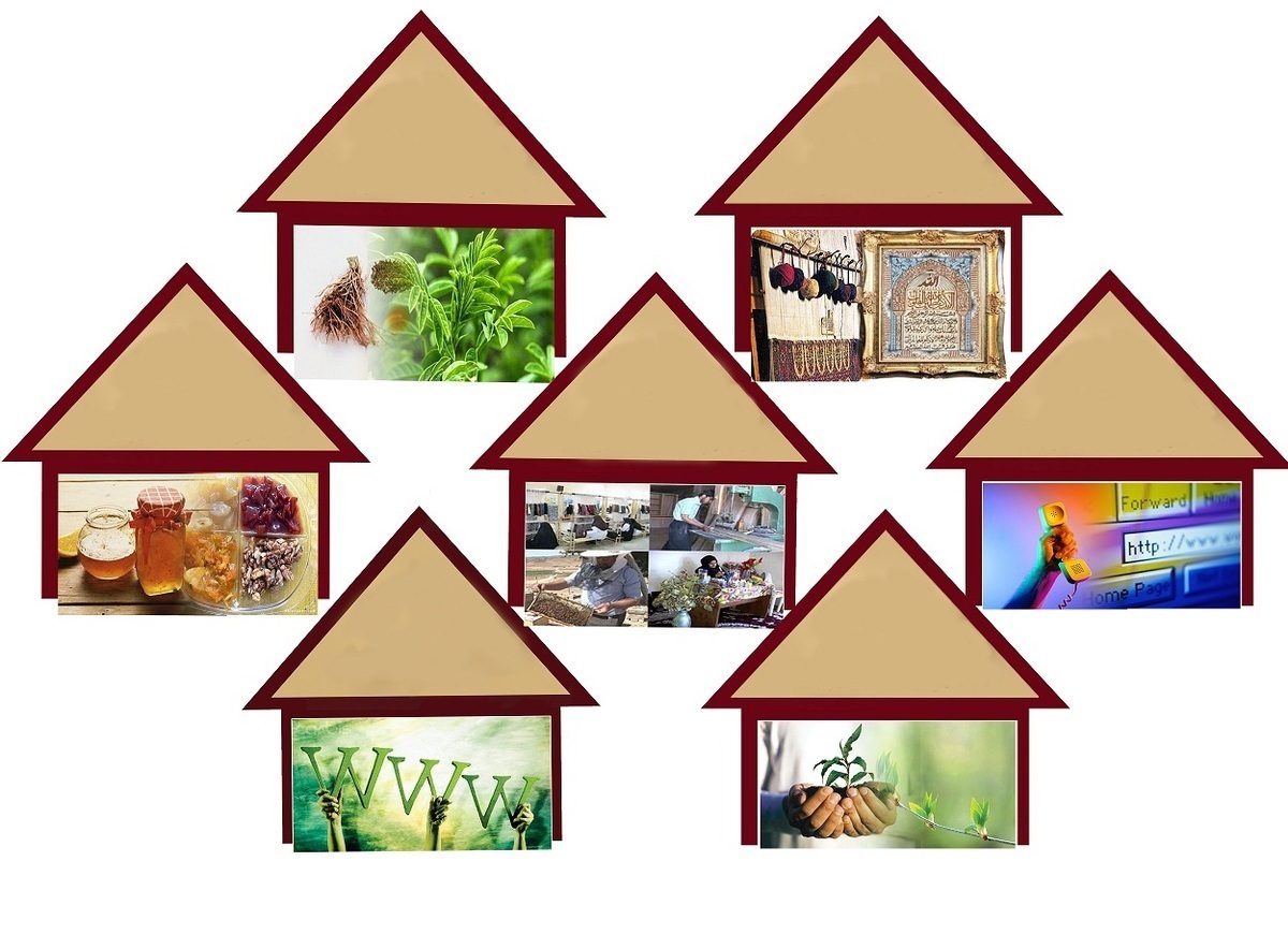 پتانسیل‌های پنهان کسب‌وکار‌های خانگی  از تسهیلات ۳۰۰۰ میلیاردی تا عبور از ۲ میلیون مجوز