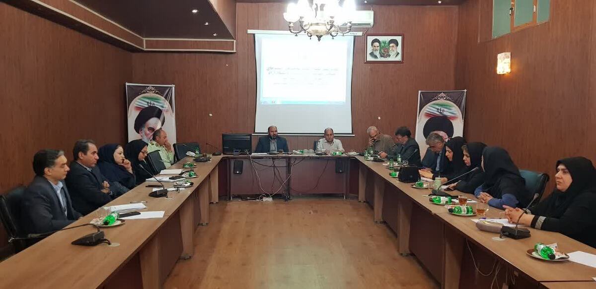 ضرورت هم‌افزایی دستگاه‌ها برای مهار آسیب‌های اجتماعی 