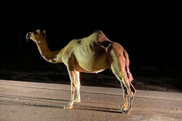 روایت پویایی ایران در قلب استانها +فیلم و عکس روایت پویایی ایران در قلب استانها +فیلم و عکس