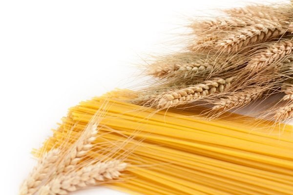 روایت پویایی ایران در قلب استانها +فیلم و عکس روایت پویایی ایران در قلب استانها +فیلم و عکس