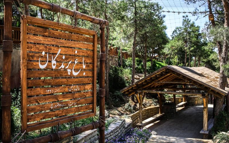 پنج پناهگاه خلوت در پاییز تهران/ از بام تا باغ؛ تهرانِ آرام را اینجا پیدا کنید پنج پناهگاه خلوت در پاییز تهران/ از بام تا باغ؛ تهرانِ آرام را اینجا پیدا کنید