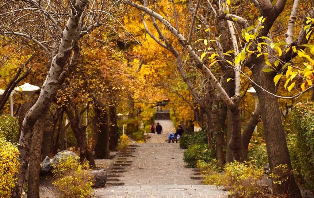 پنج پناهگاه خلوت در پاییز تهران/ از بام تا باغ؛ تهرانِ آرام را اینجا پیدا کنید پنج پناهگاه خلوت در پاییز تهران/ از بام تا باغ؛ تهرانِ آرام را اینجا پیدا کنید