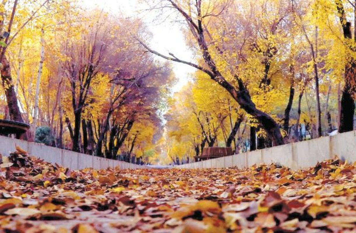 پاییز کم‌بارش و زمستان گرم در پیش است