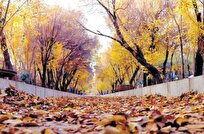 پاییز کم‌بارش و زمستان گرم در پیش است