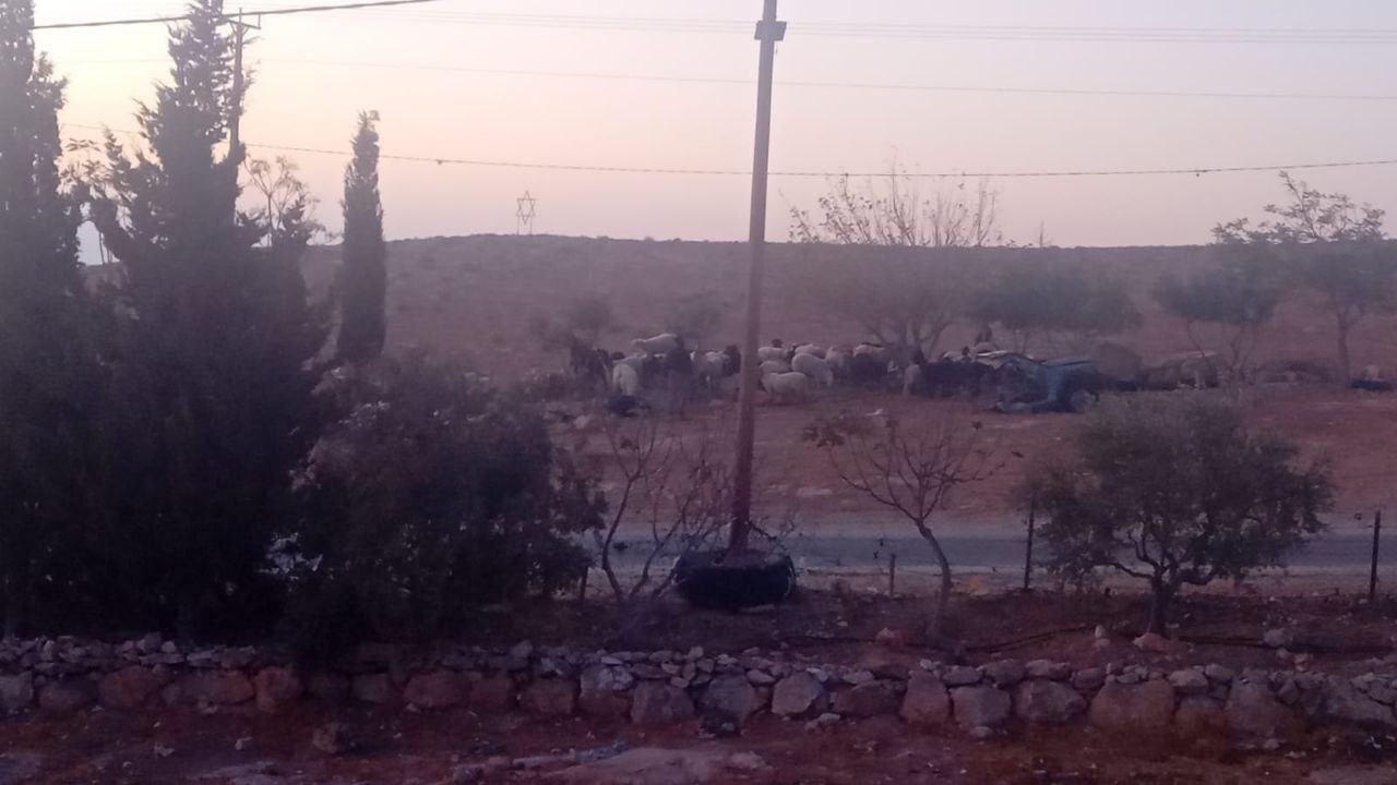 شهرک&zwnj;نشینان صهیونیست با پشتیبانی ارتش به اراضی فلسطینیان در جنوب الخلیل یورش بردند