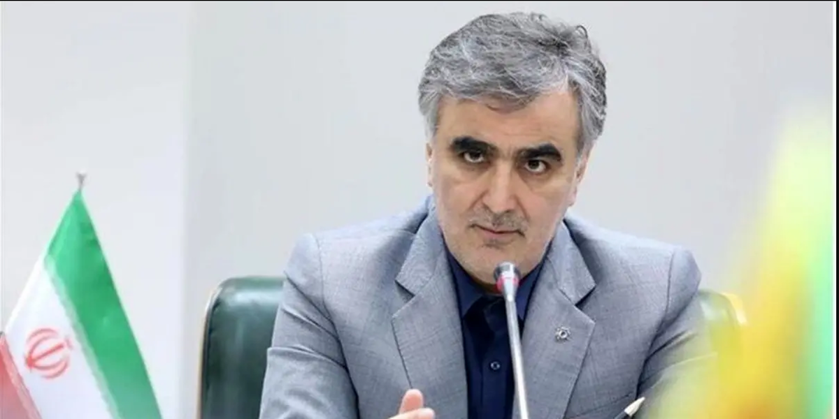 فرزین: ال‌سی داخلی، ابزار مدیریت نقدینگی برای مقابله با اسنپ‌بک است  اوراق گام و برات الکترونیک برای حمایت از کسب‌وکارها