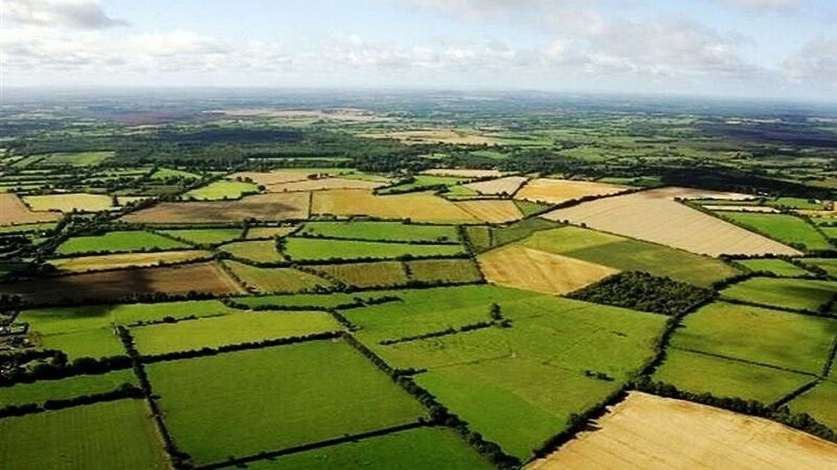 رفع تداخلات ۹۴ درصد اراضی کشاورزی  پایان مناقشه اصلاحات ارضی؛ امنیت حقوقی کشاورزان تضمین شد