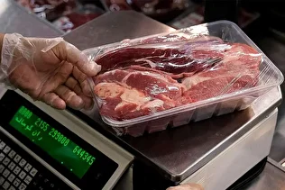 بی‌تاثیری مکانیسم ماشه بر واردات گوشت/ تعیین قیمت گوشت‌های وارداتی در حال بررسی است