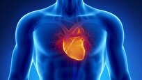 هیچ ضربانی را از دست ندهید؛ پیشگیری از بیماری‌های قلبی در روز جهانی قلب