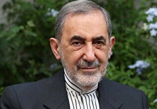 ولایتی: نمایش شرم‌الشیخ بخشی از نقشه اقتصادی ترامپ برای جهان عرب است