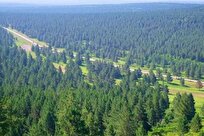 از قلاب‌سنگ تا امواج فراصوت؛ رونمایی از تکنیک‌های نوین برای افزایش ۴۰ درصدی مقاومت گیاهان