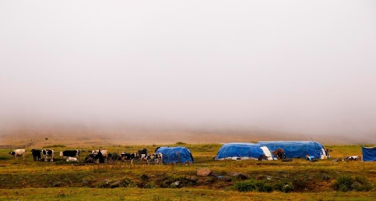 ادغام شتاب‌زده سازمان عشایر، خلائی خطرناک در حکمرانی